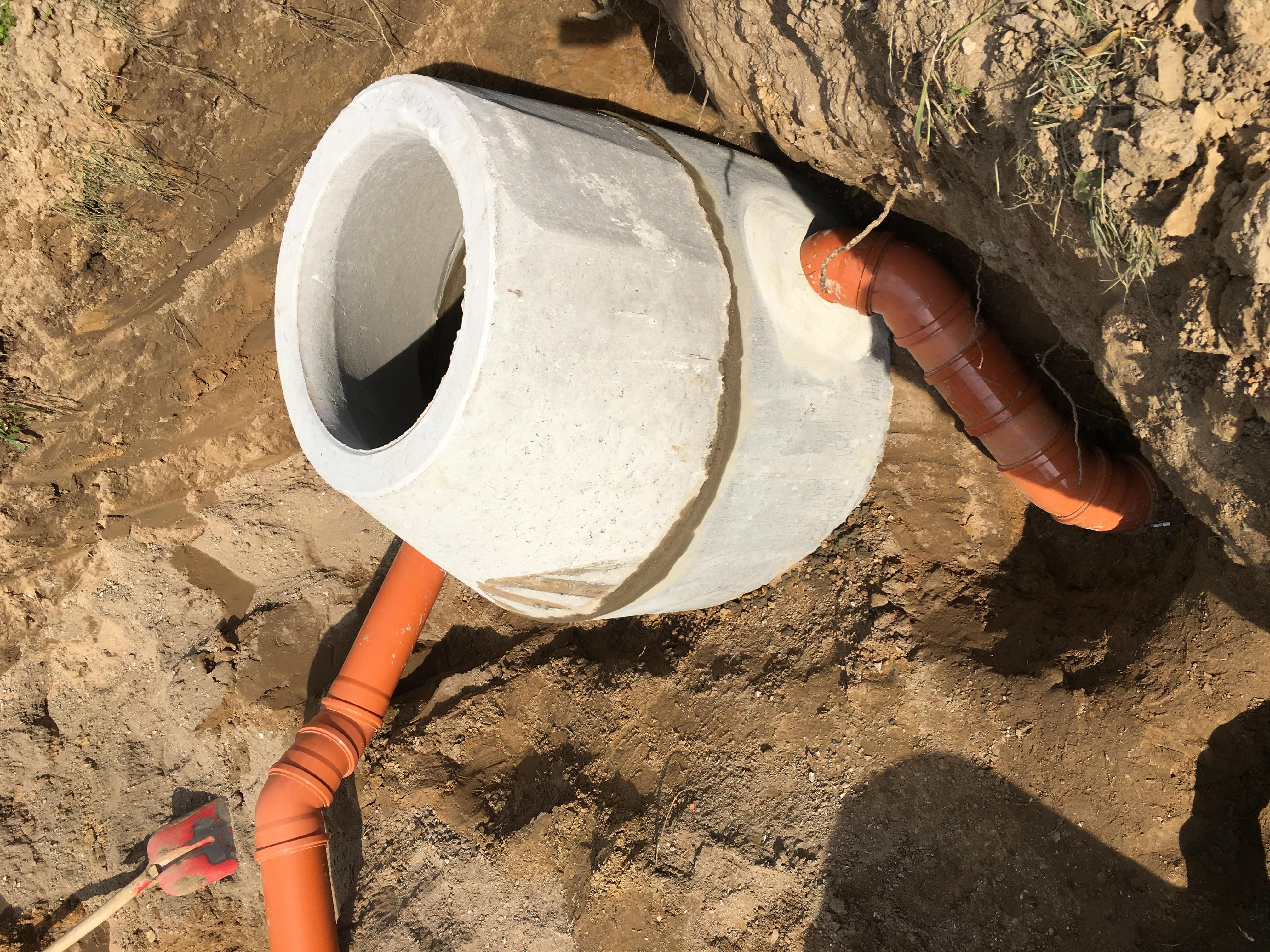 Bildvorschau konnte nicht geladen werden